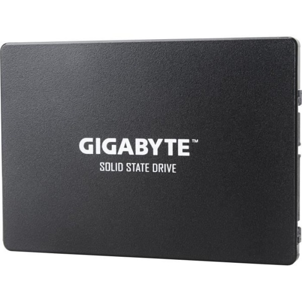 GIGABYTE - Intern Solid State Drive - 256 GB - 2,5" (GP-GSTFS31256GTND)