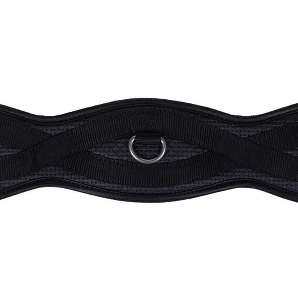QHP Basic Pro ridtränsrem - svart - 65 cm svart