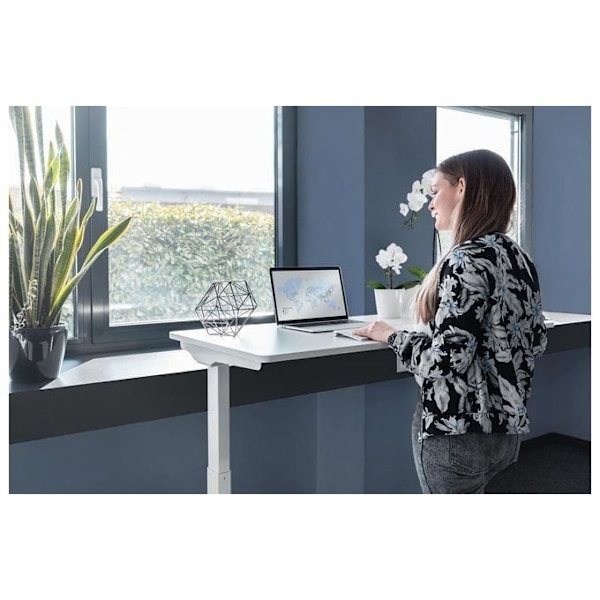 DIGITUS Elektriskt höj- och sänkbart skrivbord - 1 motor - kontrollpanel - 120 x 60 (L x D) - Rektangulär - Vit
