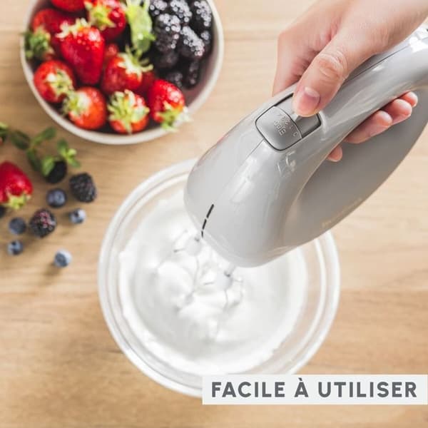 Moulinex Easy Max, Visp, Perfekt blandning, Peppar, HM262BF0 Peppar