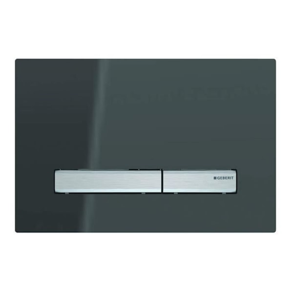 GEBERIT 115788SD2 SIGMA 50 TRIGGERPLATA FÖR 2 MÄNGDER AV