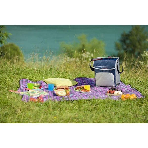 CAMPINGAZ Fold'n Cool™ mjuk kylbox - Mörkblå - 20 L Grå och marinblå