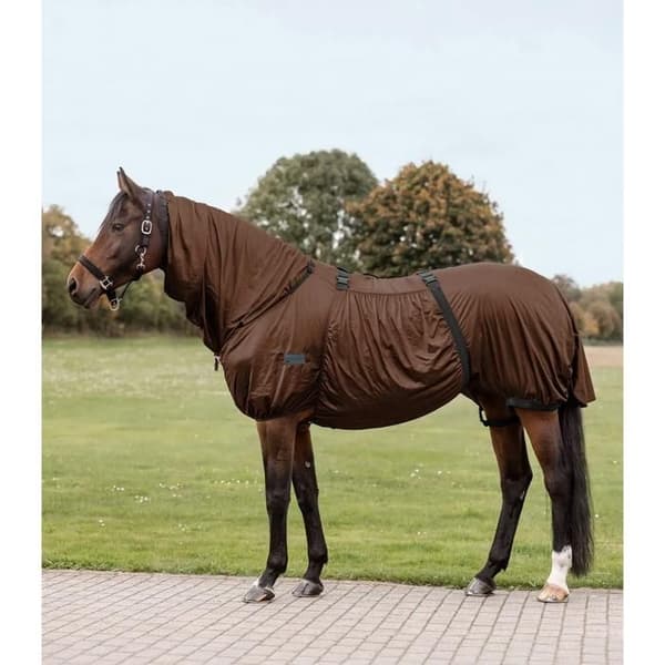 Insektskydd/ sommar för häst Waldhausen Basic - mocca - Brun - 145 cm mocca