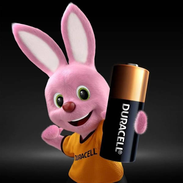 Duracell DURACELL SPE MN21 X2 Batterier