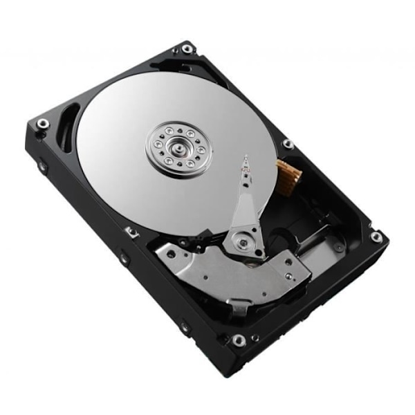 DELL - HÅRDDISK 4TB 3.5 SAS ISE 12GBPS 7200 TR - 161-BBHG