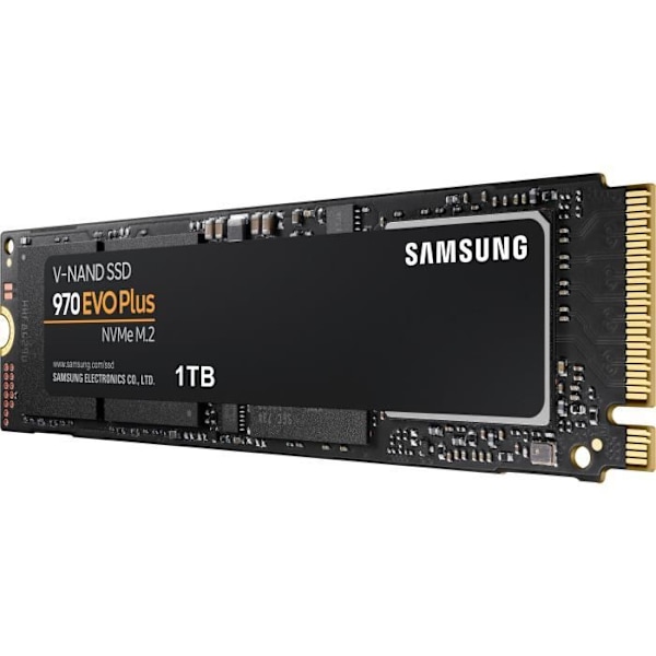 SAMSUNG - Intern SSD - 970 EVO PLUS - 1TB - M.2 NVMe (MZ-V7S1T0BW)