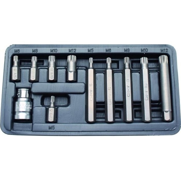 Box med 11 bitar XZN eller Spline bits - M5 till M12