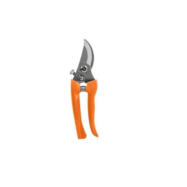 SÄKERT SERIE V BLAD GENOMGÅENDE
