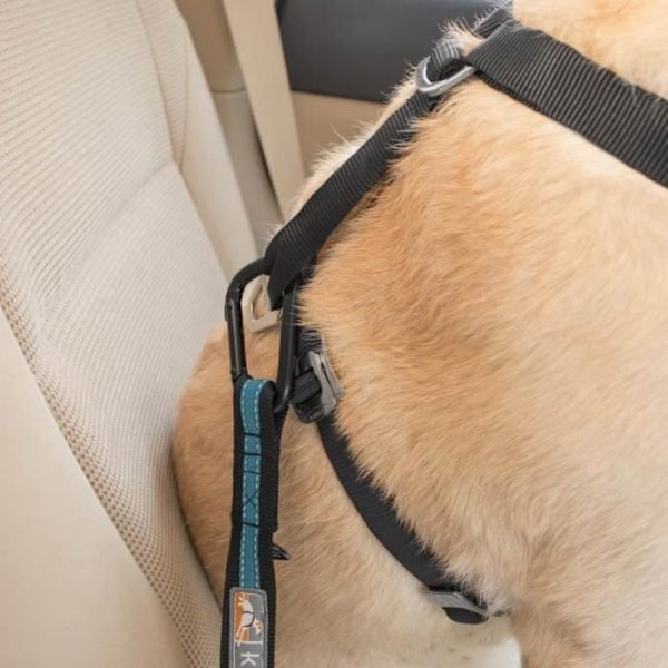 DIREKT TILL SEATBELT™ Dog Safety Tether - Blå