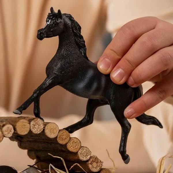 Figurinhästs klubb: Arabisk hingst Svart