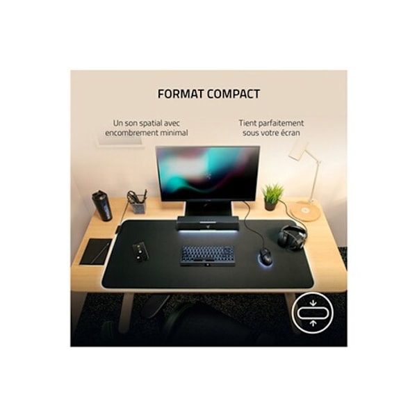Ljudbar - Razer - Leviathan V2 X - USB Typ-C - Bluetooth 5.0 - Bredbands högtalare
