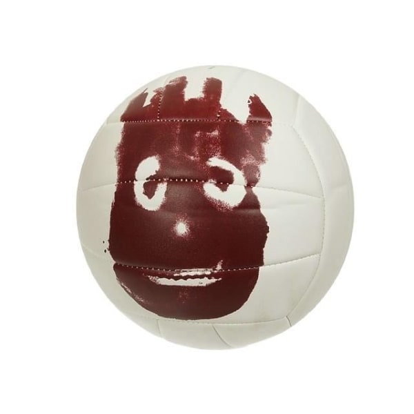 Mr wilson volleyboll