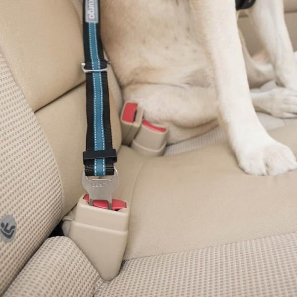 DIREKT TILL SEATBELT™ Dog Safety Tether - Blå