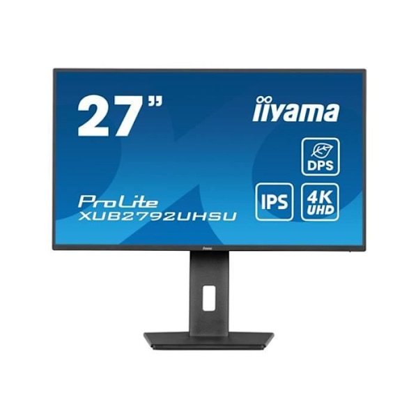 - iiyama - iiyama ProLite