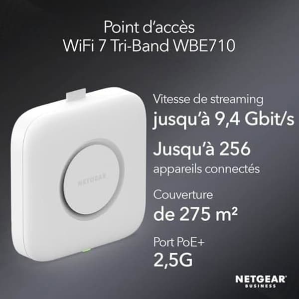 Netgear WBE710-100EUS