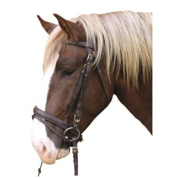 Kerbl 321178 Läder draghästträns (svart)