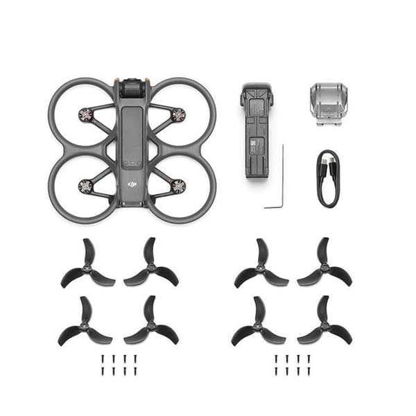 DJI Avata 2 - Endast drönare Grå