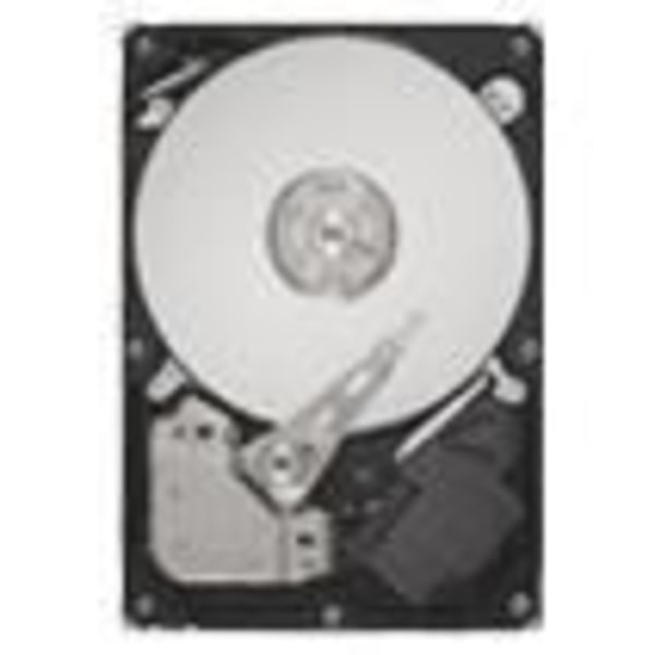 SEAGATE DB35.4 250GB SATA 3Gb/s intern hårddisk - 7200 rpm - 3,5" - 250 GB