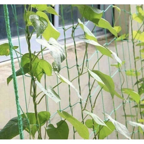 Treille - trellis Gardlov Filet - stöd för växter 2x10m 23978