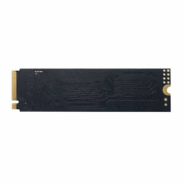 PATRIOT P310 480 Go