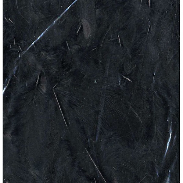 Plumes Ébouriffées Svart 10g (stort paket)
