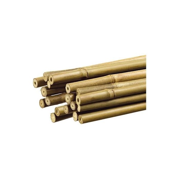 Dekorativ bambupåle Naturfärg Ø1,1 cm X1,20 m - GENERISK - Nortene Grön, Turkosblå