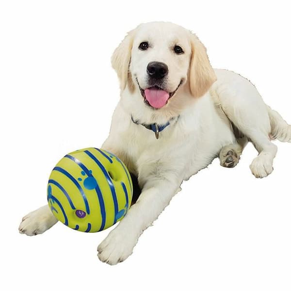 DOGGIES BOLL SPEL FÖR HUNDAR