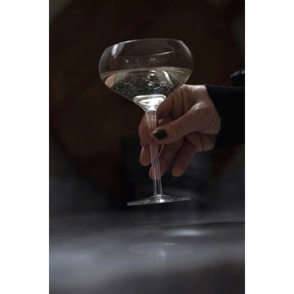 Champagneglas - champagneglas - champagneflöjt Sagaform - 5018265 - Champagneglaslåda