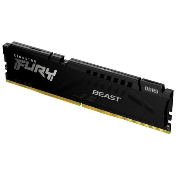 Kingston Fury™ Beast DDR5 16GB (1 x 16GB) - 5600MHz - C40