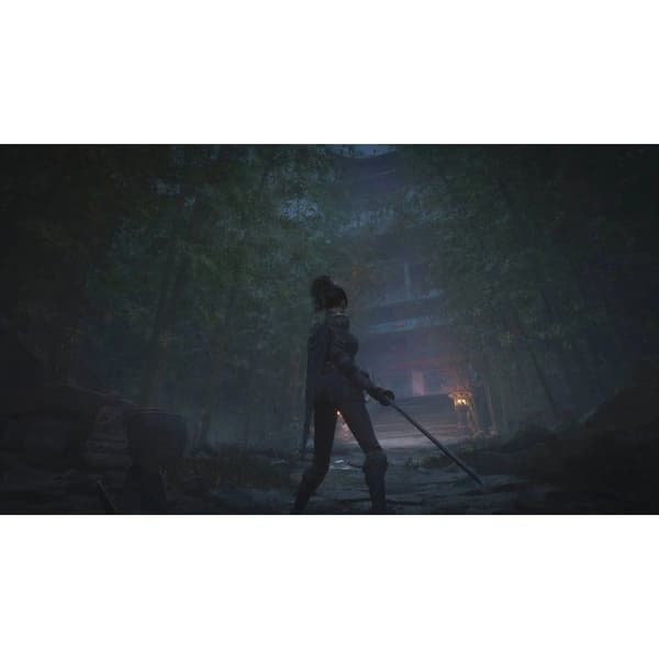 WUCHANG: Fallen Feathers - PS5-spel