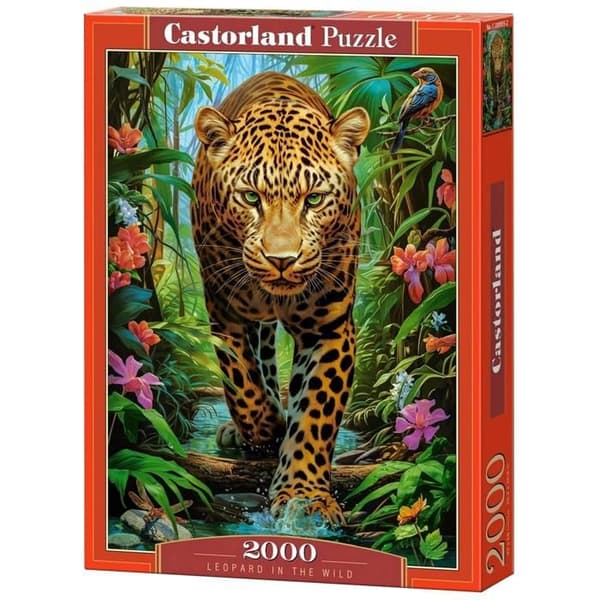 Castorland - Pussel "Leopard i naturen" — 2000 bitar