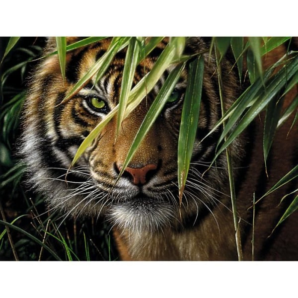 Måla efter nummer “Tiger”, 30 x 40 cm Måla efter nummer “Tiger”, 30 x 40 cm