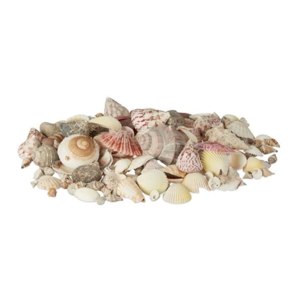 Relaxdays Shell Mix Sea Shells 1kg Net Maritim dekoration, färgad