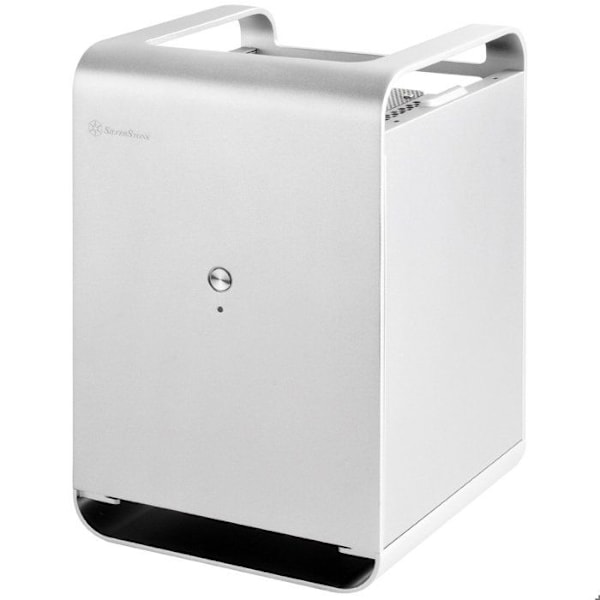 SilverStone SST-CS01S - Mini-ITX Case Storage, Silver