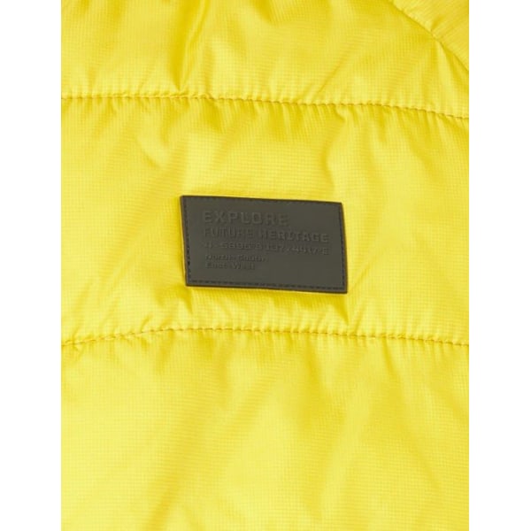 Jacka - perfecto - bomber Camel active - 430970/4E43/62-66 - 430970/4E43/62 Jacka, Gul, One Size Herr Gul jag