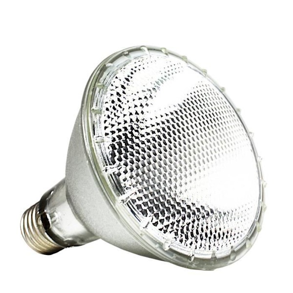 Belysning för reptiler Neo Day Halogen 50 W REPTILES-PLANET