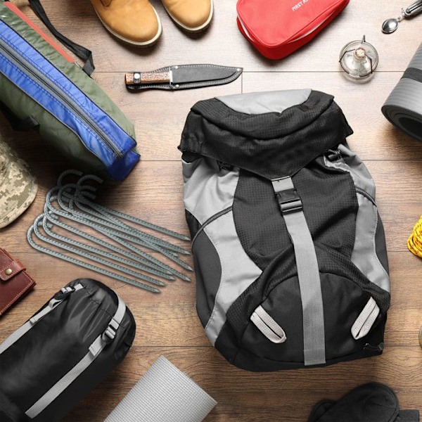 Relaxdays solankare i paket om 10, XL sardiner, extra långa, camping, tältaccessoar, stål, 38,5 cm, silverfärgade silver-
