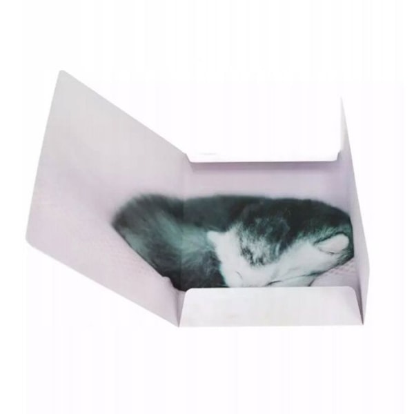 Dossier suspenderat - underdossier Starpak DOSSIER MED GUMMIBAND PAPPER A4 KATTER STK FOL10/100