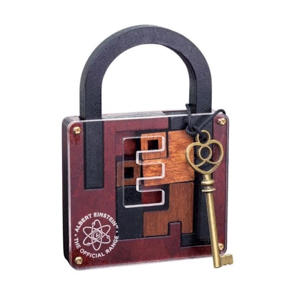 LOCK EINSTEIN N6 pusselspel - PROFESSOR PUZZLE - 6 bitar - Flerfärgad Flerfärgad