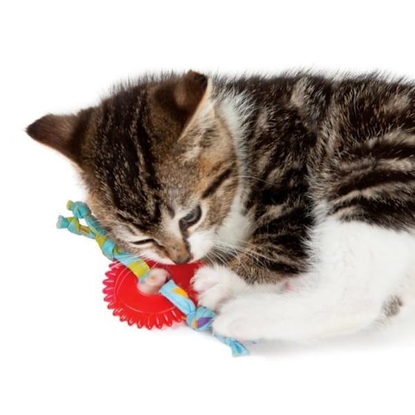 Tuggleksak - PETSTAGES - Kitty Chew Wheel - Tandvård - Kattmynta - Solid tyg