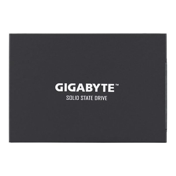 GIGABYTE intern SSD-enhet - UD Pro - 256 GB - SATA3 (GP-GSTFS30256GTTD)
