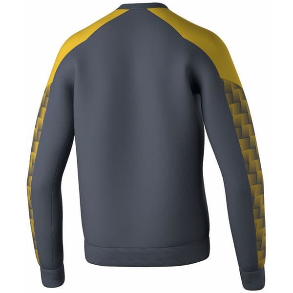 Sweatshirt Erima Evo Star skiffergrå/gul jag