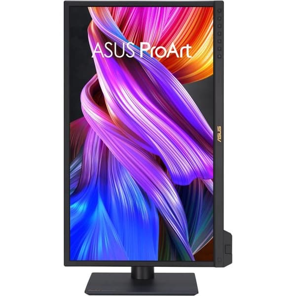 ASUS ProArt PA24US platt skärm