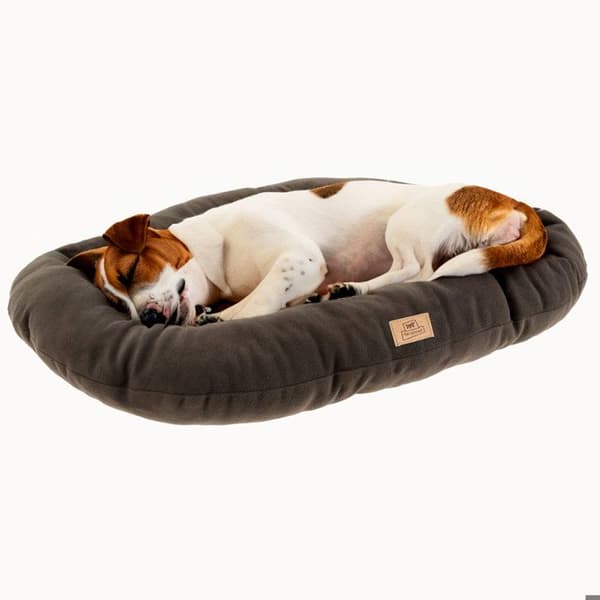 Ferplast RELAX MICROFLEECE Kudde stoppad i mikrofleece för hundar och katter 65/6 - 65 x 42 cm - Grå Grå