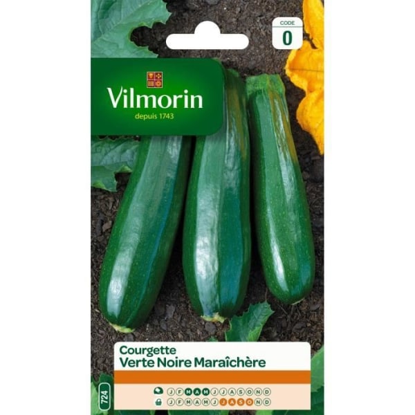 VILMORIN Grön zucchini för svarta marknaden