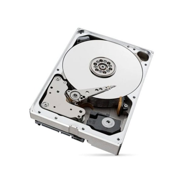 Seagate ST10000NT001 3,5" 10TB hårddisk