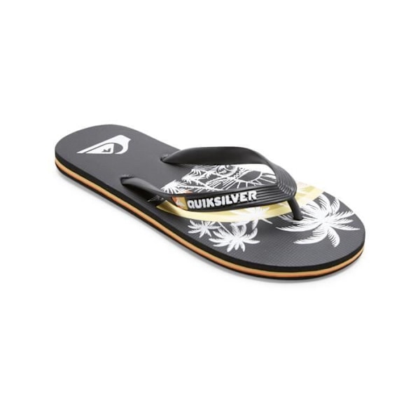 Quiksilver Molokai Art Sl flip flops - svarta - 46
