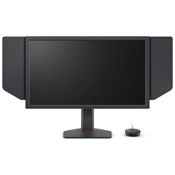 BENQ 24.1" LED