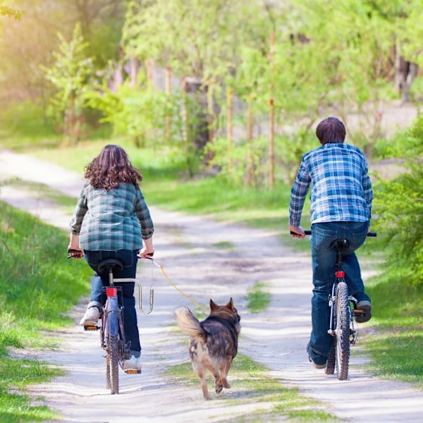 Stöd med Hundkoppel - RELAXDAYS - Silver - Cykelfäste - Medium Storlek - Stötdämpande Fjäder silver-