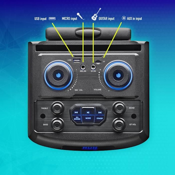 Bärbar högtalare - NGS - WILD DUB 1 - 300W - Bluetooth - True Wireless - Svart Svart